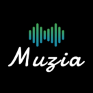 Muzia: Music on Display Mod APK 1.3.3 (Unlocked)(Pro)