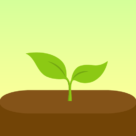 Forest v4.81.0 MOD APK [Premium Unlocked]